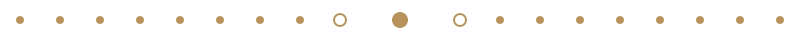 divider dotted